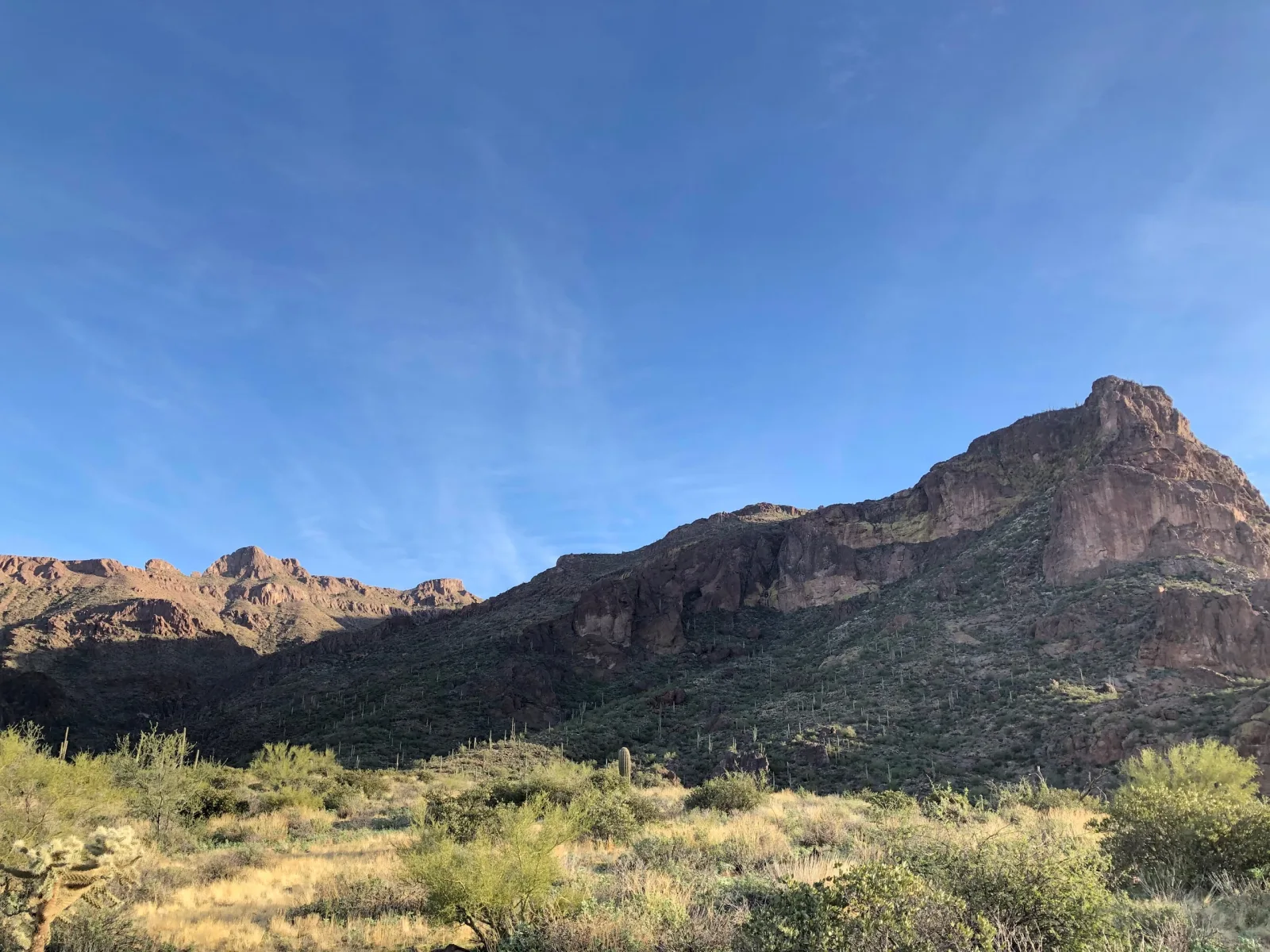 Sunlit desert cliffs above cactus and scrub beneath a clear blue Arizona sky.