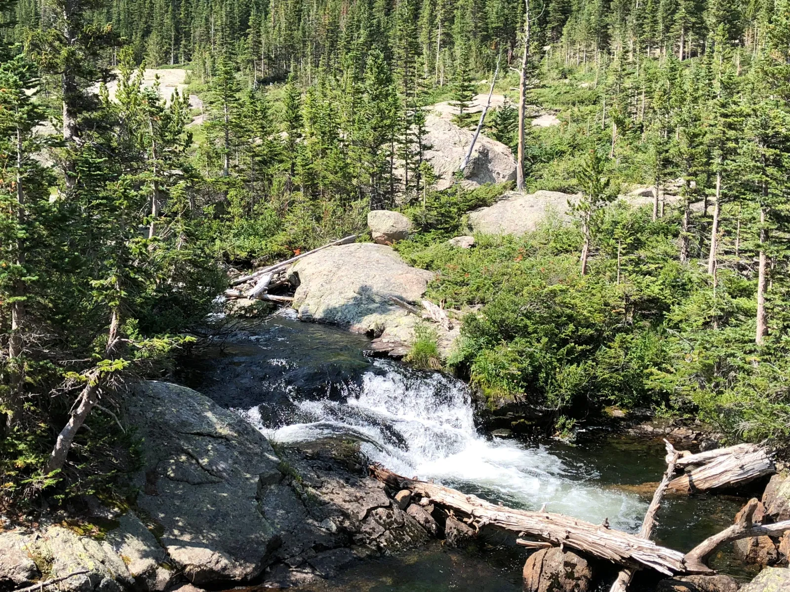 White water cascading over boulders through a green mountain forest.