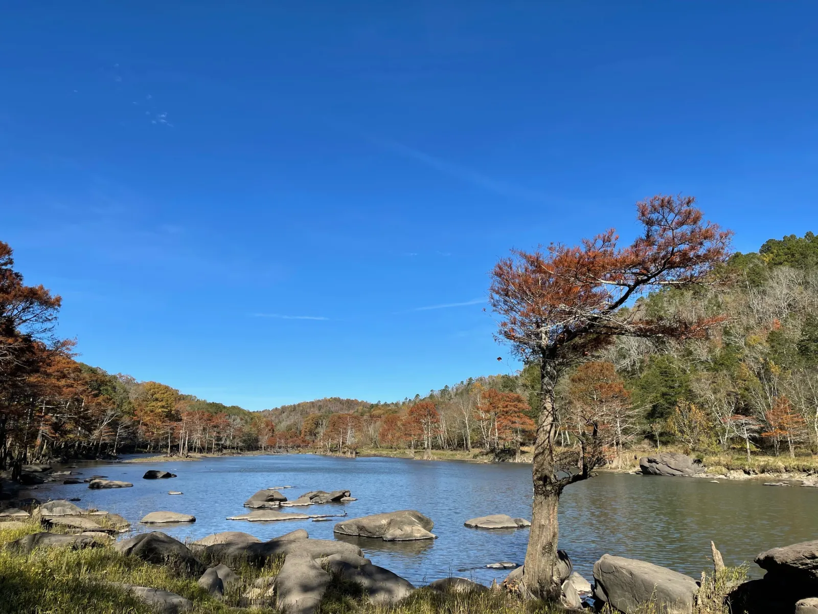 Autumn trees lining a rocky Oklahoma river beneath a bright blue sky.